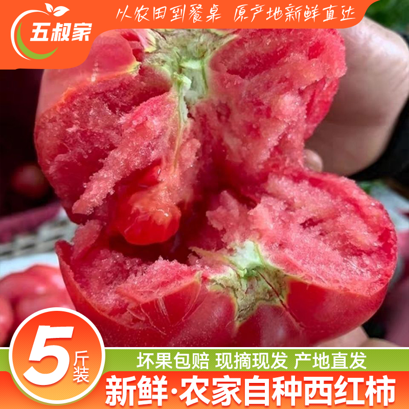 【五叔家】露天沙瓤西红柿子现摘