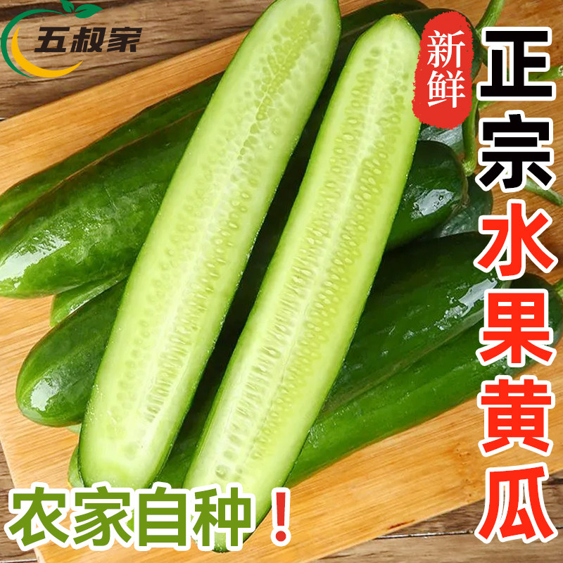 水果小黄瓜新鲜生吃现摘正宗清甜脆口可生吃腌制炒菜当季整箱蔬菜