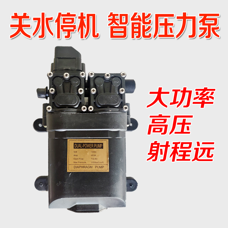 12V电动喷雾器水泵电机高压双泵变频水泵大功率车载洗车器抽水泵