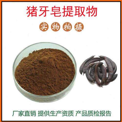 猪牙皂提取物30:1 猪牙皂粉 皂荚树/水皂角提取物 量大从优 包邮