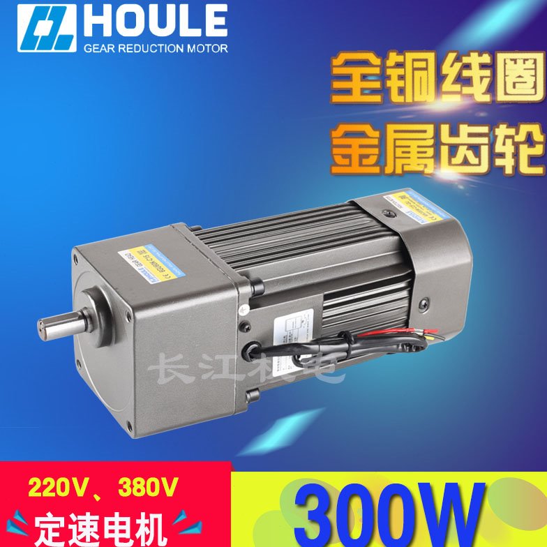 HOULE豪力300W速比3K-600K轴15mm单相220V交流定速电机配启动电容