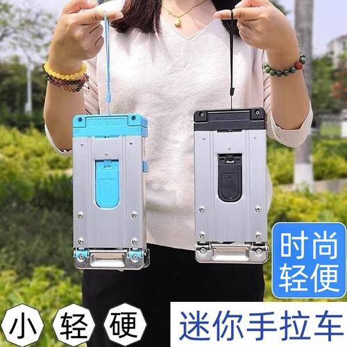 不锈钢迷你购物买菜小拉车可折叠便携手拉车家用小拖车搬运行李车