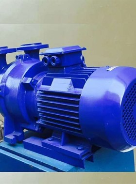 直联式真空泵 2V5o121 卧式水环式真空泵 2V5121真空泵