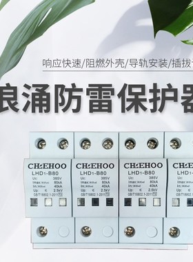 浪涌2P3P4P20KA40KA80KA100KA低压配电系统电涌保护器一级防雷器