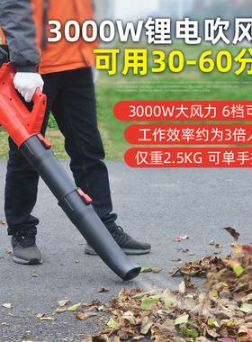 3000W大功率电动吹风机吹吸树叶清理鼓风机吹灰电动除雪除尘神器