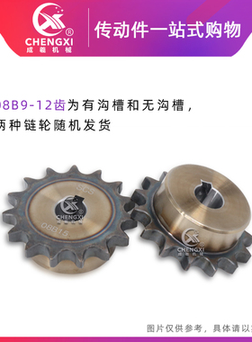 SCS高品质成型孔链轮4分18齿 08B18T齿外径77.8 精车内孔键槽顶丝