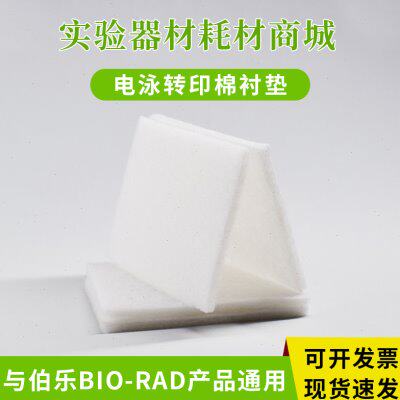 Western blot适配伯乐湿转转印海绵垫转印棉衬垫 Foam Pad多孔垫
