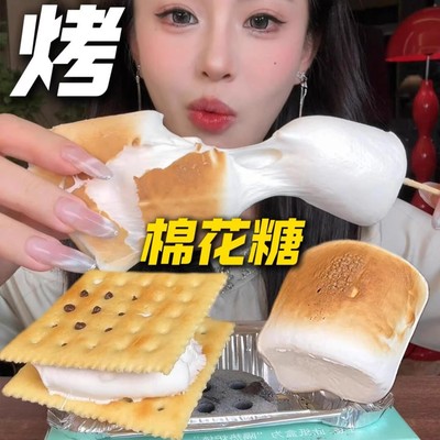 烤棉花糖机碳烤棉花糖自嗨炉