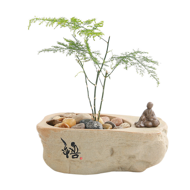 创意个性绿植文竹盆景盆家用室内小盆栽专用陶瓷花盆客厅装饰摆件