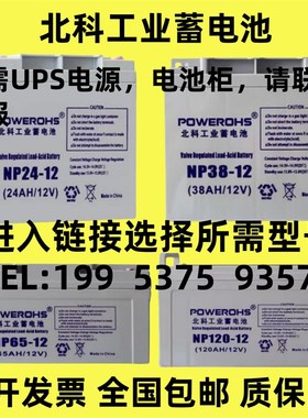 北科工业蓄电池NP100-1212V7AH17A24A38A65AH100AH直流屏 消防UPS