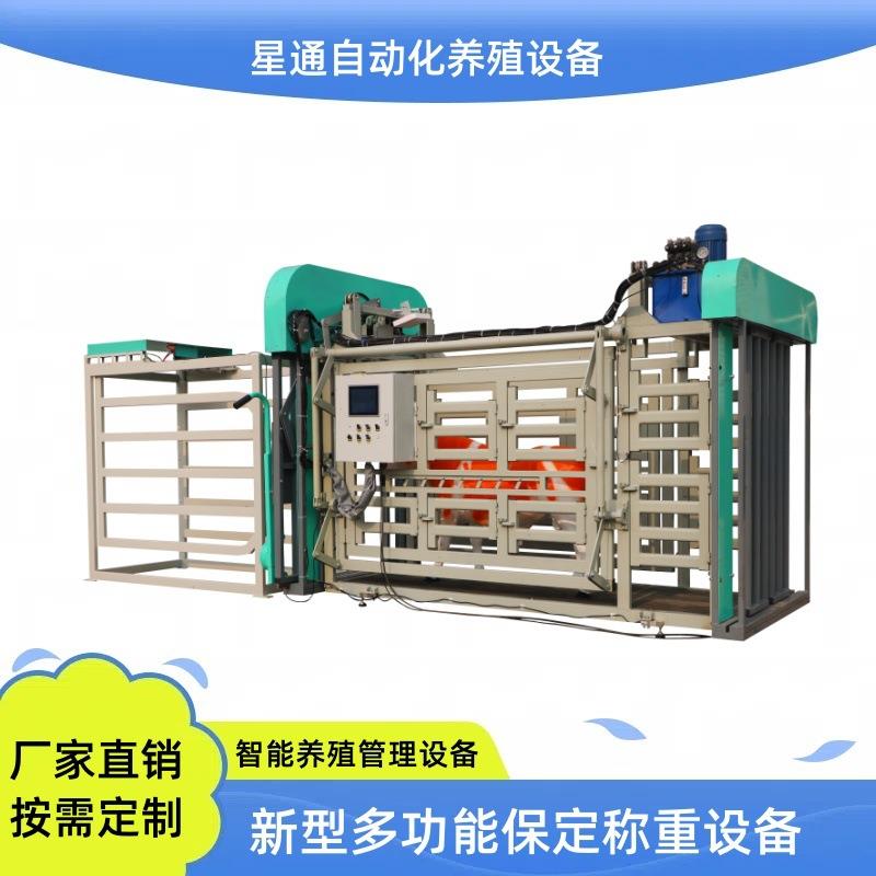 保定称重新型牛用养殖设备加厚加固稳定耐用高精度肉牛种牛管理