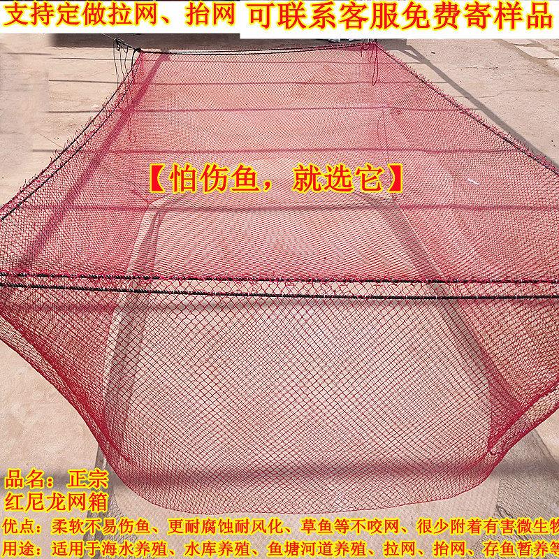 红尼龙不伤鱼网箱海洋水产养殖水库养大鱼存鱼抬鱼大网箱抬网定做