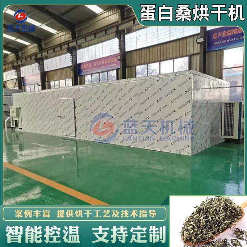 空气能蛋白桑烘干机 热泵式饲料桑大叶桑烘干房 蛋白桑叶烘干设备