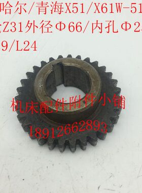 齐齐哈尔/青海X51/X61W铣床配件5118C齿轮Z31/M2/Φ25/L24