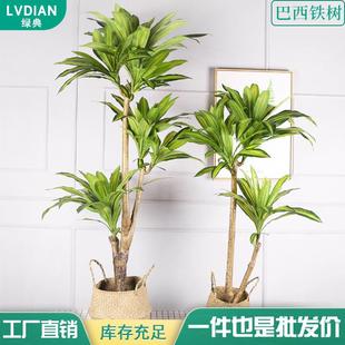 仿真绿植巴西铁树大型度假热带景观树盆栽家居热带风情