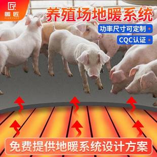 暖匠养殖场电热膜仔猪电热板石墨烯地暖猪圈猪舍保温加热