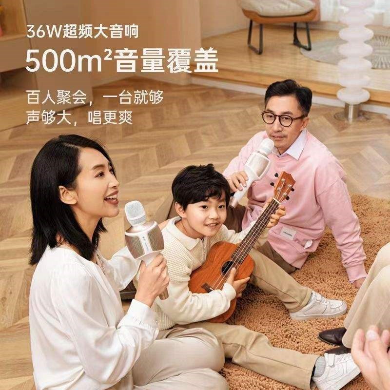 魅鸟智屏音响麦PLUS 话筒音响一体麦克风 K歌 声卡直播麦克风话筒