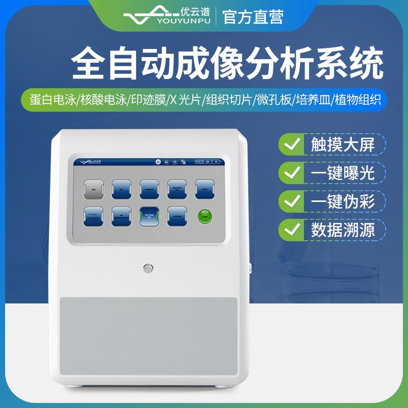 化学发光成像仪全自动化学发光成像分析系统化学发光荧光成像系统