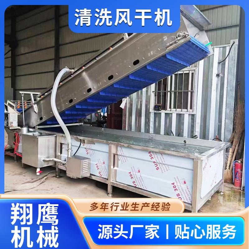 清洗风干机果蔬海鲜清洗风干设备商用大型全自动清洗流水线清洗机
