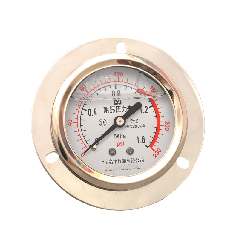 YN60-ZT轴向带边耐震压力表 0-1MPa 1.6MPA 充油抗震 上海名宇