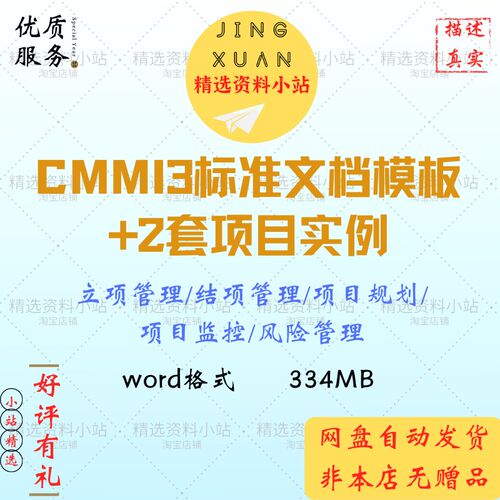 CMMI3标准文档模板项目实例立项管理结项规划监控风险管理资料
