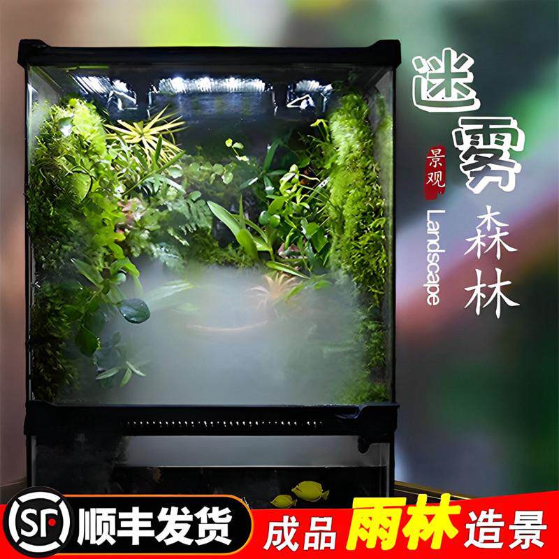 雨林缸造景成品迷雾森林生态植物喷淋系统全套苔藓微景观森林摆件