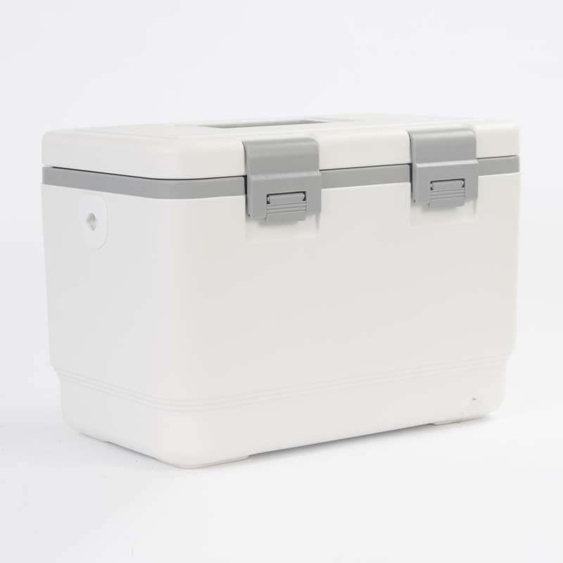 户外保温箱母乳保鲜冷藏箱车载手提便携式外卖储存可视温度小冰箱