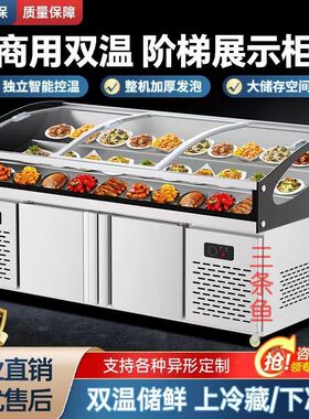 三阶梯展示柜餐厅凉菜熟食卤菜烧烤商用冷藏柜冰柜保鲜柜冷冻冰台