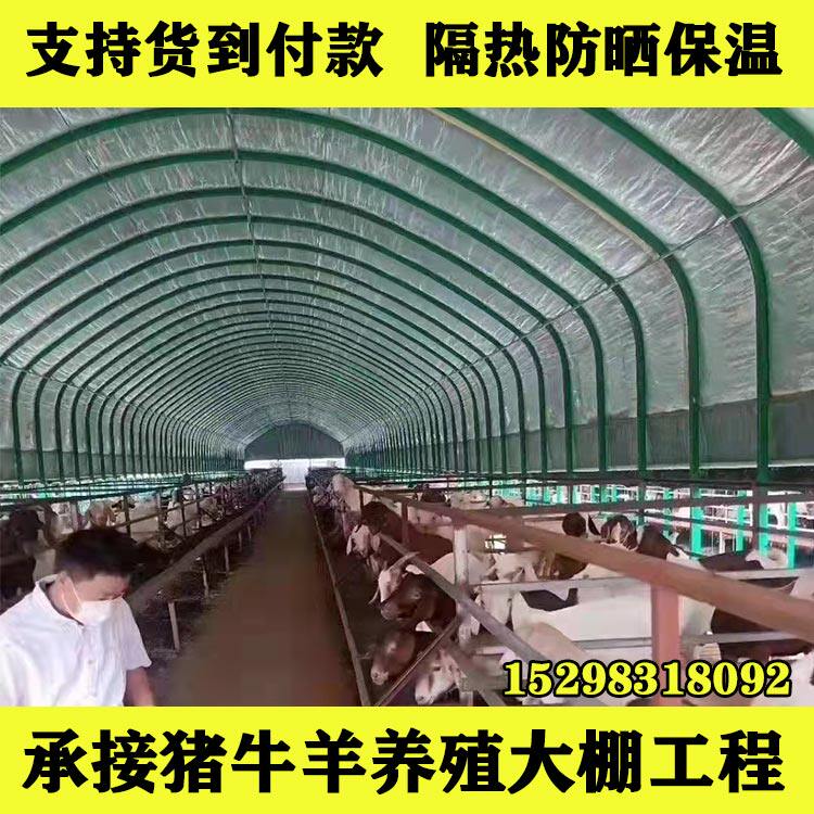 温棚骨架钢管牛棚羊圈猪舍鹅兔养鸡蔬椭圆管大室场菜养殖大棚保温
