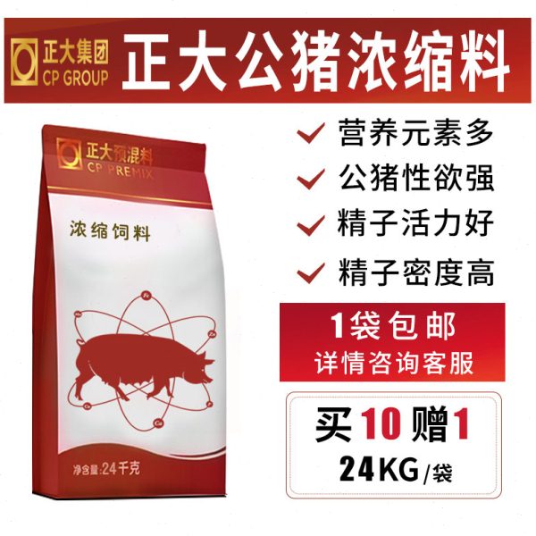正大种公猪浓缩料 种猪料 公猪浓缩料