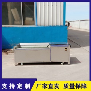 全自动马蹄荸荠去泥清洗机洗猪头猪蹄羊头机器莲藕魔芋红薯去皮机