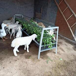 吃喂羊家用胶皮食槽羊槽子羊槽双面槽子草输送羊架子食槽羊槽