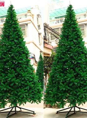 5米6米大型圣诞树普通圣诞树商场绿色铁脚钢管圣诞树裸树绑枝树