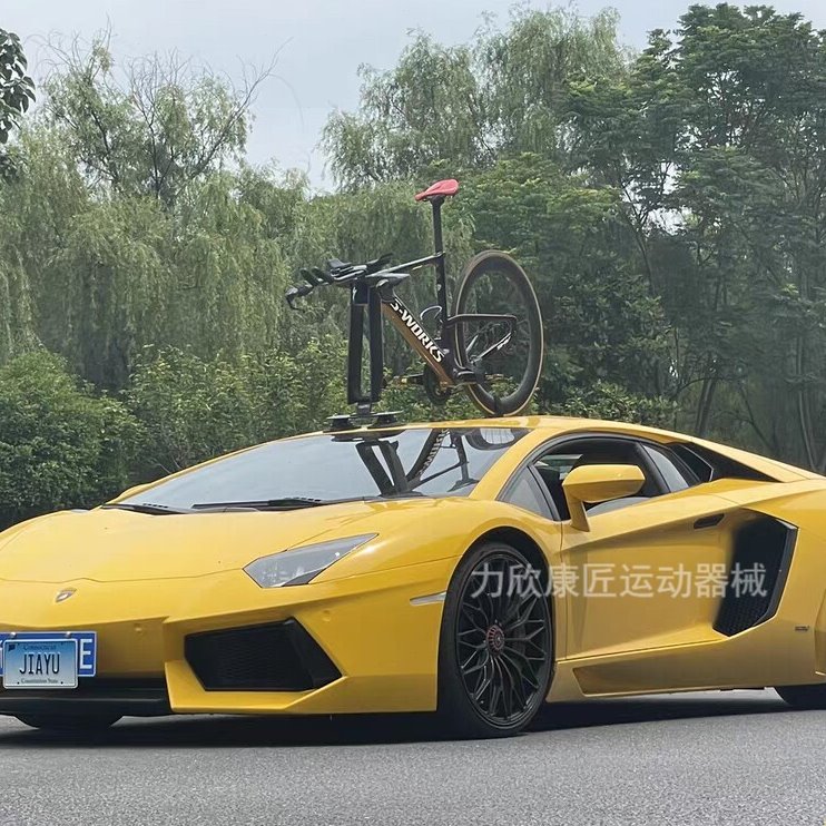 rassine力欣吸盘 一车份 公路山地吸盘 车载吸盘 背挂式 车顶架