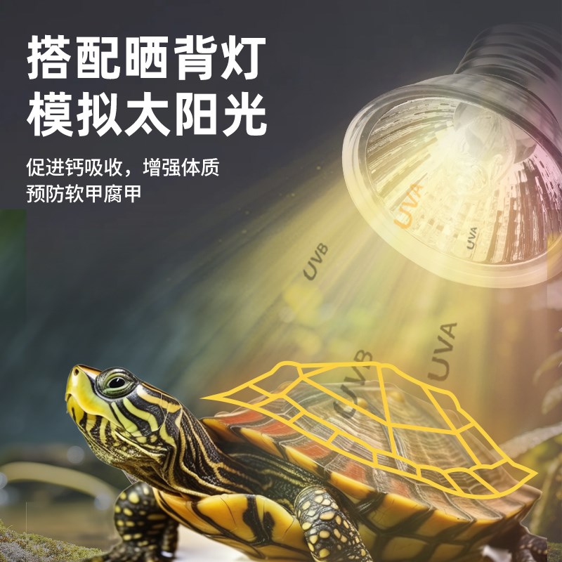 乌龟缸家用客厅生态龟缸超白玻璃乌龟L专用缸饲养鱼缸混合养