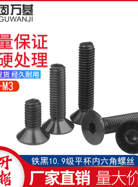 10.9级沉头内六角螺丝平杯螺钉平头铁发黑色内六角螺栓M2/M2.5M3