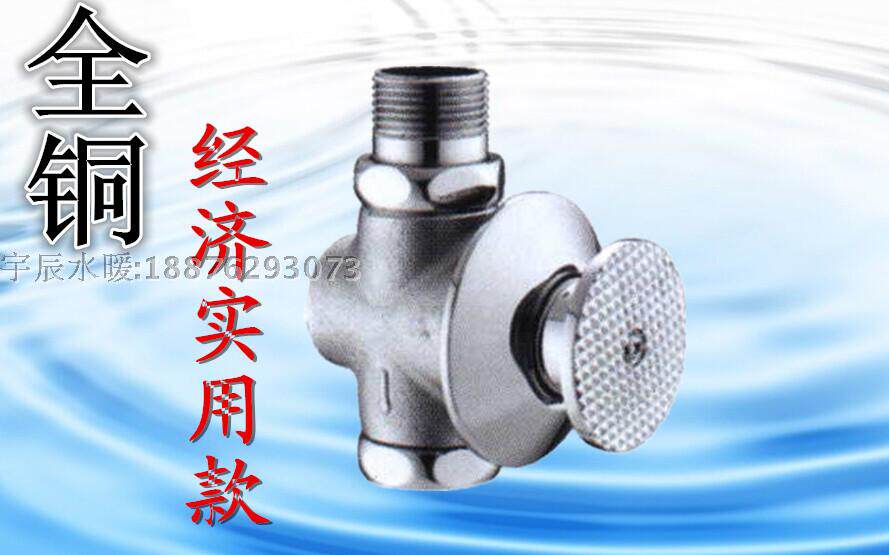 经济款 铜入墙式暗装脚踏 脚踩 蹲便器冲水器 脚踏大便阀冲洗器