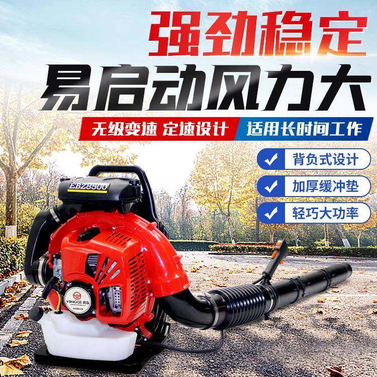 道路吹树叶机器背负式吹风机四冲程风力灭火机冬季路面积雪清理机,畜牧/养殖物资,特种养殖设备,淘宝优惠券,粉丝福利购,淘宝优惠卷
