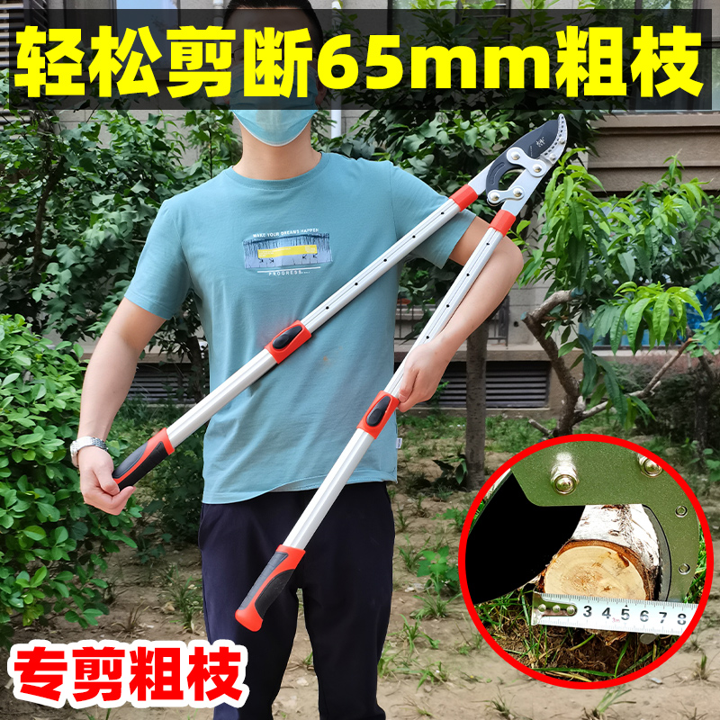 剪枝果树修枝剪刀园艺修剪树枝园林省力修粗枝剪家用工具剪子神器