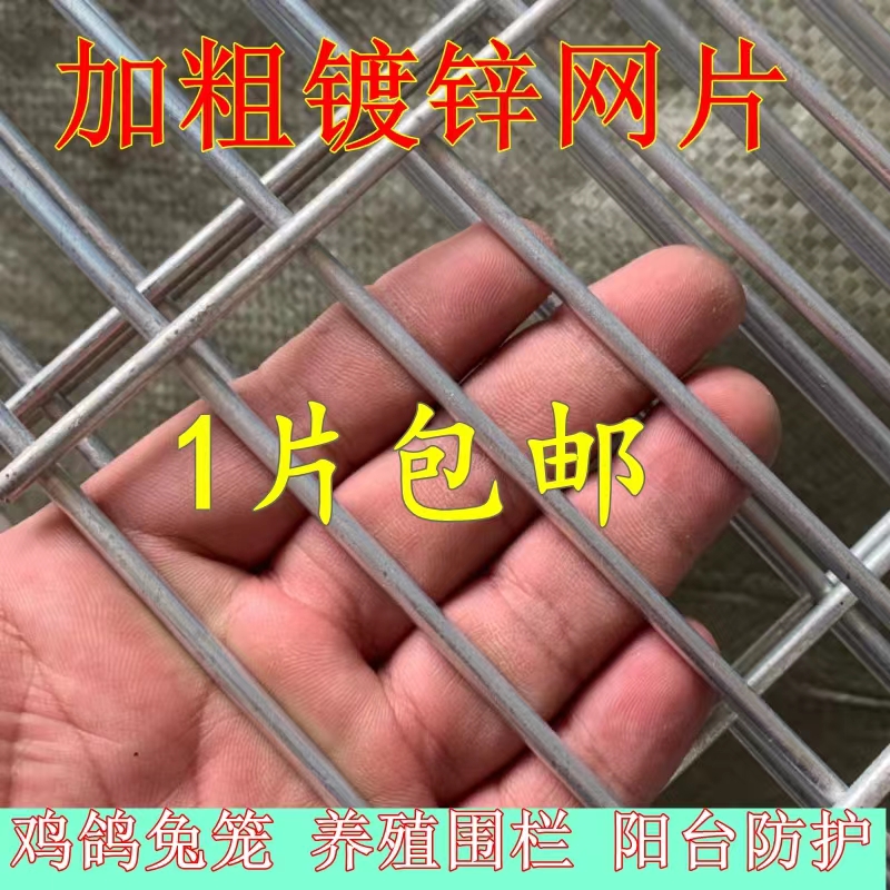 长孔镀锌铁丝网片鸽舍围栏热镀锌钢丝网养殖加粗加密地网防护网格