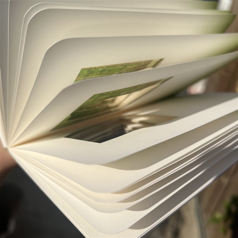 先锋书店文创梧叶生凉笔记本镂空原创设计南京梧桐大道景点礼物