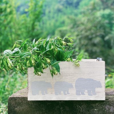 白色做旧实木收纳木箱铁艺把手木筐熊图案印花花箱家居收纳整理箱