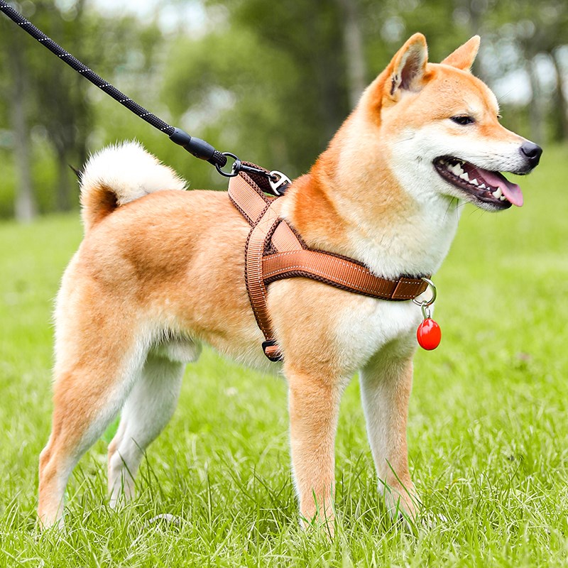 柴犬狗狗牵引绳中大型犬背心式防爆冲狗背带金毛遛狗绳子狗链