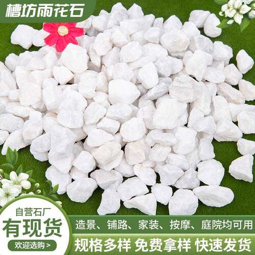 白色砾石庭院绿植装饰雪花白鹅卵石汉白玉鹅卵石白石子
