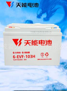 洗扫地机蓄电池天能6EVF100A-12V观光巡逻电动轿车环卫车103H电瓶