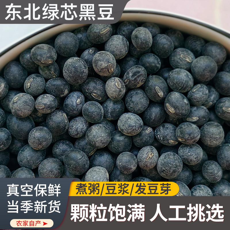 2025年新豆东北黑豆绿芯打豆浆专用真空装醋泡黑豆黄心新货农家