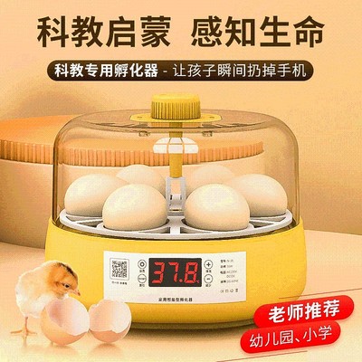 孵蛋器1枚小鸡孵化器小型家用型儿童孵化机鹦鹉迷你全自动孵化箱