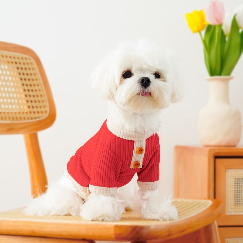 2022秋冬新款宠物T恤泰迪雪纳瑞约克夏贵宾博美小型幼犬狗狗衣服
