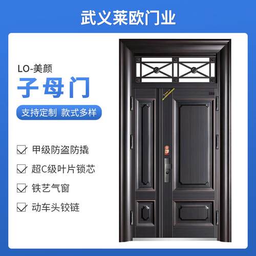 自建房门防盗门进户门非标门子母门对开门入户门钢质安全门