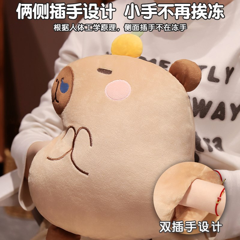卡皮巴拉抱枕毯子二合一车载车用靠枕办公室靠背午睡枕被子两用女